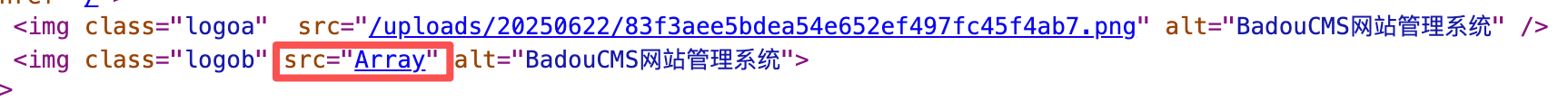 BadouCMS网站logo2无法显示